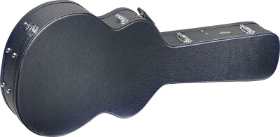 stagg guitar case